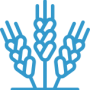 ico_1 ico_1